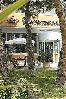 Hotel Du Commerce Spa Saint-Gaudens